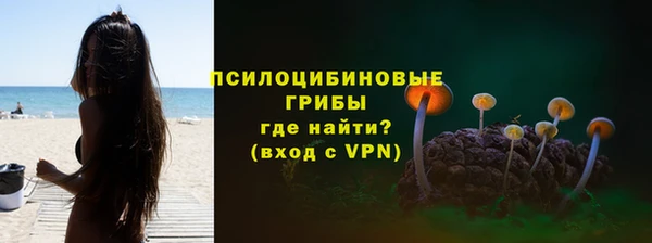 дживик Белокуриха