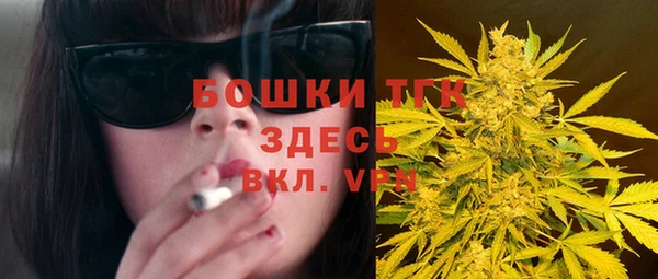 дживик Белокуриха