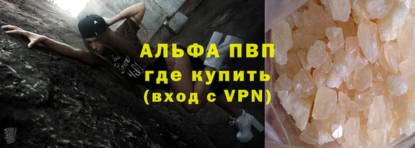 дживик Белокуриха