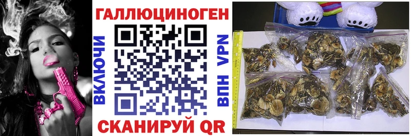 Галлюциногенные грибы GOLDEN TEACHER  Купить  Велиж 