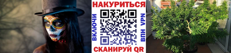 Купить где  Велиж  Бошки Шишки White Widow 
